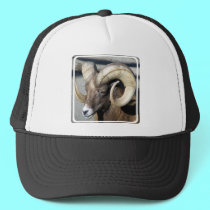 Bighorn Sheep hats by Artists4God Bighorn Sheep hats