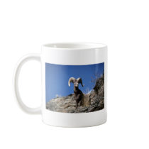 Bighorn sheep (Ram alert on face of mountain cliff Coffee Mugs