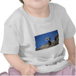 Bighorn sheep (Ram alert on face of mountain cliff Tshirts