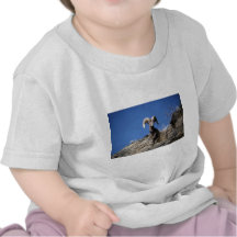 Bighorn sheep (Ram alert on face of mountain cliff Tshirts