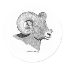 Bighorn Sheep stickers
