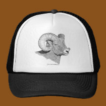 Bighorn Sheep hats