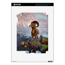 Bighorn Sheep Vintage Illustration Decal For iPad 3