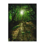 Bight Eyes Postcard