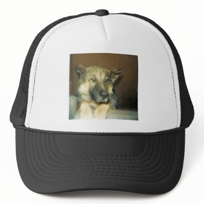 BigMean Mesh Hat by mydoggieworld