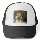 BigMean hats