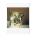 BigMean Postcards