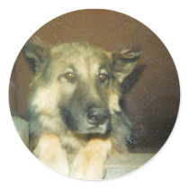 BigMean stickers by mydoggieworld BigMean stickers