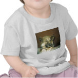 BigMean Tee Shirt
