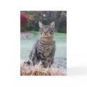 Bijou on straw cards by viviculture Bijou on straw cards