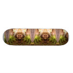 Bike Lane in the Light skateboards