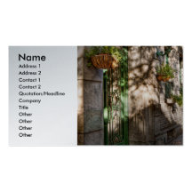 Bike - NY - Greenwich Village - The green district Business Cards
