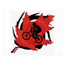 Bike Rhotten Oaks Post Card