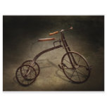 Bike - The Tricycle Flyers
