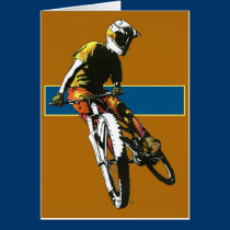 Biker2 -Orange/Blue cards