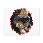 BIKER BUNNY HELL'S BUNNY POSTCARDS