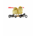 biker chicks t-shirts