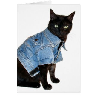 biker kitty card