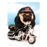 Biker Pug Dog Post Cards