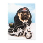 Biker Pug Dog Post Cards