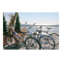 Bikes on the Boards posters