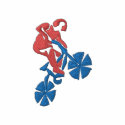 Biking Logo embroidered shirts
