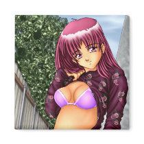 Bikini Anime Girl Refrigerator Magnets
