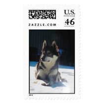 Bild 011 postage