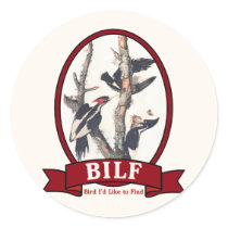 BILF stickers by BirderGifts BILF stickers