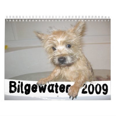 Bilgewater Calendar Bilgewater Calendar