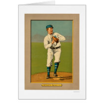 Bill Bergen Dodgers Baseball 1911 cards