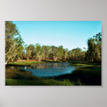 Billabong Posters