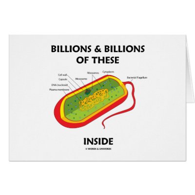 between prokaryotic can be