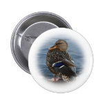 Bill's Duck Button