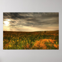 Bill's Flower Field Print