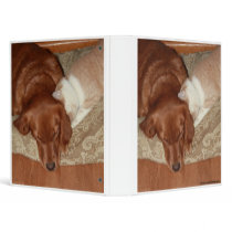 Billy and Penny snuggling binders