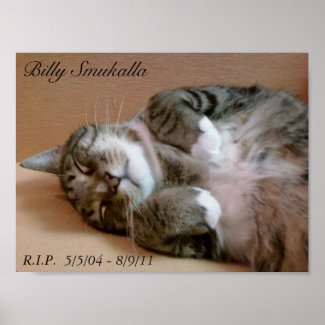 Billy at rest. print