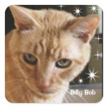 BILLY BOBCAT THORNTON STICKER stickers