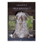 BILLY GOAT BIRTHDAY CARD