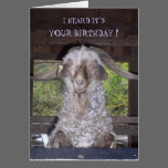 BILLY GOAT BIRTHDAY CARD cards