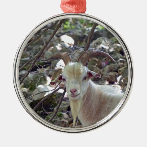 billy goat round metal christmas ornament zazzle billy goat round metal christmas ornament zazzle