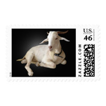 BILLY GOAT STAMPS