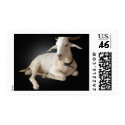 BILLY GOAT STAMPS