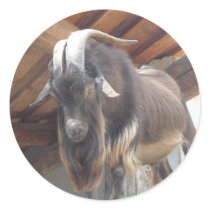 Billy Goat stickers
