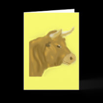 Billy the Bull cards