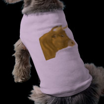 Billy the Bull pet clothing