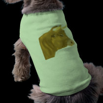 Billy the Bull pet clothing