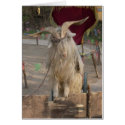 Billy The Goat Card