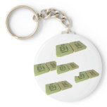 Bin as Bi Bismuth and N Nitrogen Key Chain