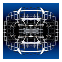 Binary Fusion Chamber posters